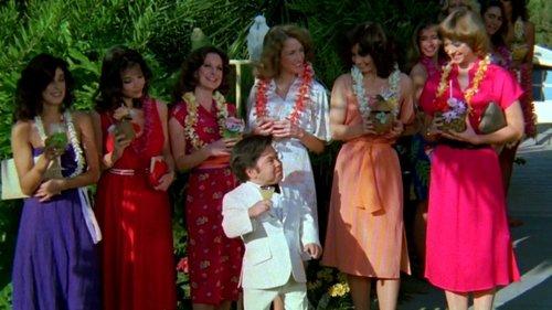 Fantasy Island Season 4 Episode 17 - Also Rans / Portrait of Solange