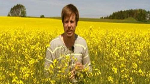 100 Höjdare Season 4 Episode 1 - Episode 1