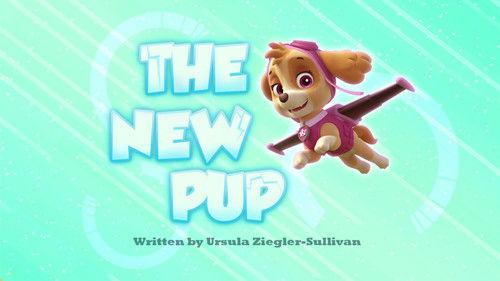 PAW Patrol Season 2 Episode 14 - The New Pup