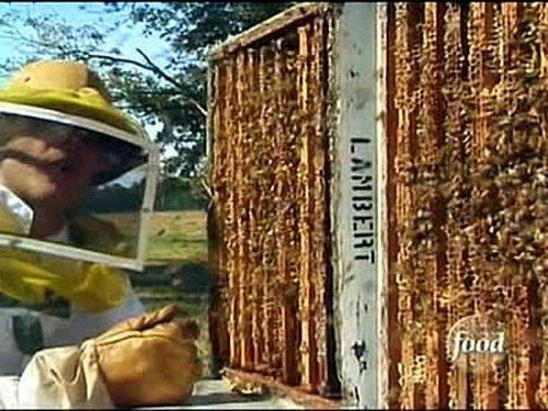 Good Eats Season 4 Episode 8 - Pantry Raid IV: Comb Alone