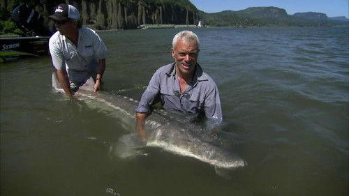 River Monsters Season 2 Episode 4 - Alaskan Horror