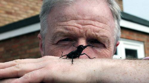 Background image for Urban