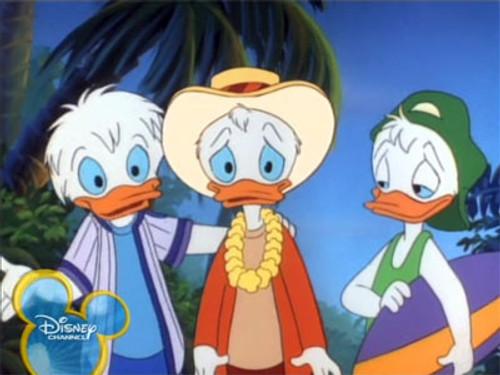 Quack Pack Season 1 Episode 23 - Huey Duck, P.I.