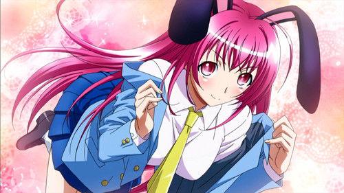 Background image for Dearest, the First Date