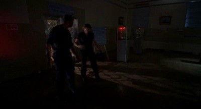 Background image for Birthright