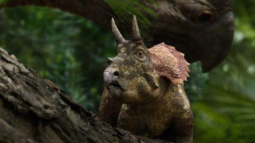 Prehistoric Planet Season 1 Episode 5 - Forests