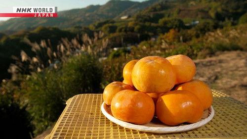 Trails to Oishii Tokyo Season 4 Episode 25 - KAKI