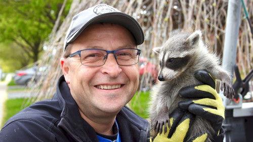 Louis and the Urban Jungle Season 2 Episode 9 - Episode 9