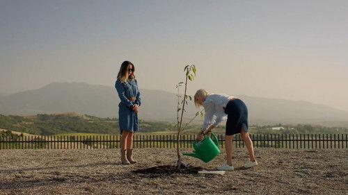 Background image for Melnik 82