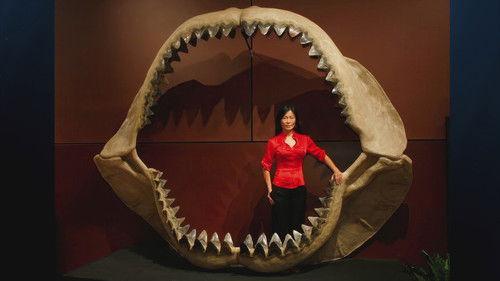 The UnXplained Season 7 Episode 15 - Terrors of the Deep