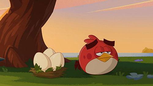 Angry Birds Toons Season 2 Episode 7 - Just So