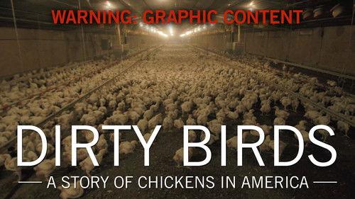 Original Fare Season 2 Episode 16 - Dirty Birds: A Story of Chickens in America