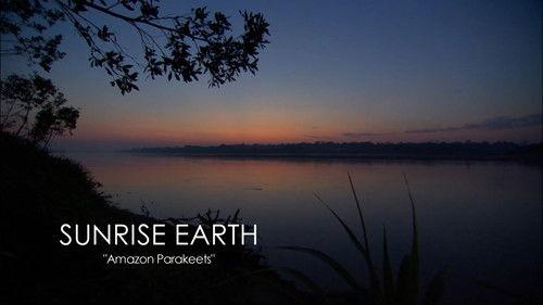 Sunrise Earth Season 3 Episode 21 - Amazon Parakeets