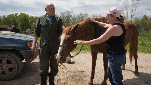 The Incredible Dr. Pol Season 12 Episode 8 - Storm's a-Mooin'