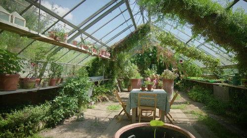 Hinter den Hecken Season 2 Episode 9 - An experimental garden