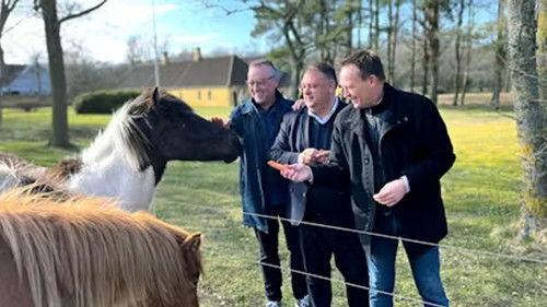 Background image for Ø-liv