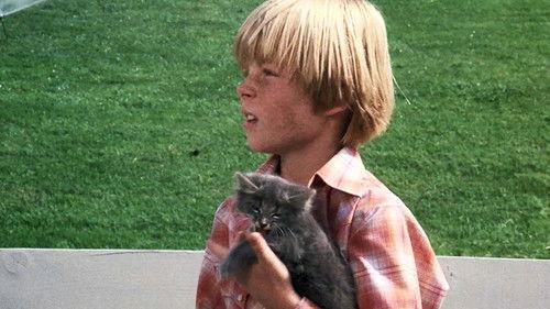 Charlie's Angels Season 1 Episode 7 - To Kill an Angel