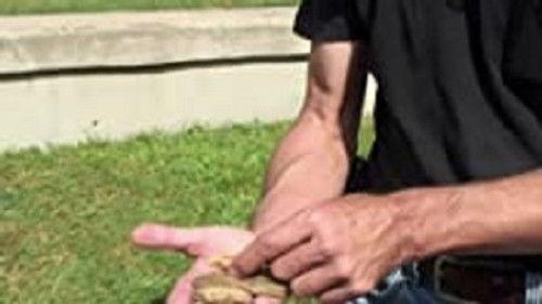 Haunted Highway Season 1 Episode 5 - Louisiana Swamp Woman; Pioneer Cemetery