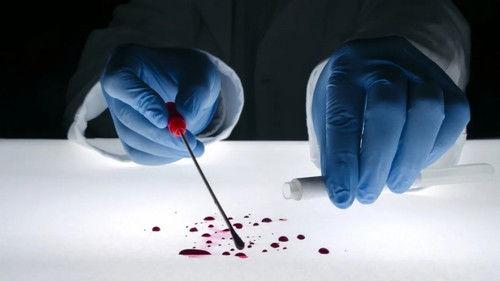 The New Detectives Season 2 Episode 2 - Camera Clues