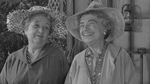 The Andy Griffith Show Season 1 Episode 17 - Alcohol and Old Lace