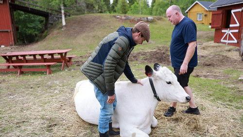 Farmen Kjendis Season 7 Episode 11 - Episode 11