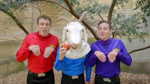Ready, Steady, Wiggle! Season 1 Episode 21 - Pirate Poetry