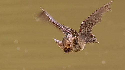 Springwatch Season 21 Episode 12 - Episode 12