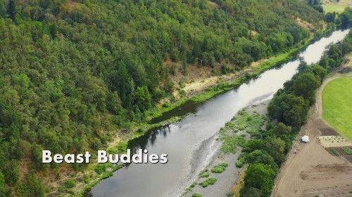 Amazing Animal Friends Season 1 Episode 4 - Beast Buddies