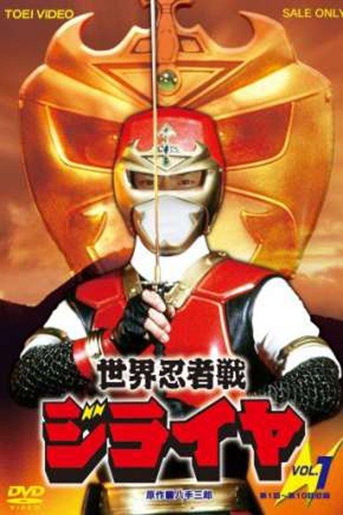 Ninja Olympiad poster