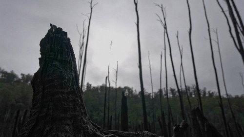 Alone Australia Season 1 Episode 11 - Episode 11