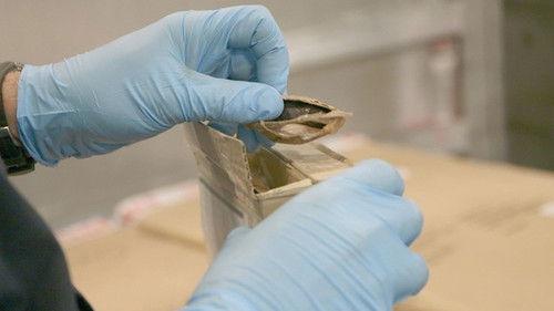 Border Security: America's Front Line Season 3 Episode 19 - Live Moth Pupas