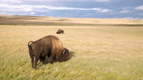 Canada plus grand que nature Season 2 Episode 13 - Episode 13