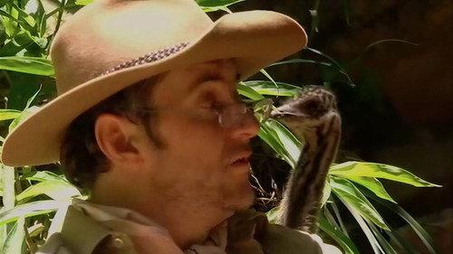 I'm a Celebrity...Get Me Out of Here! Season 4 Episode 10 - On Your Knees