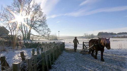 Frank & Kastaniegaarden Season 18 Episode 1 - Episode 1