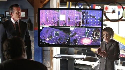 Background image for True Colors