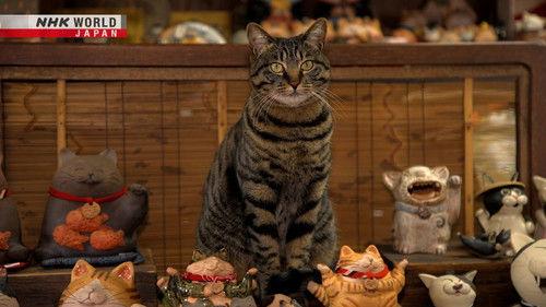 Background image for Aichi: Lead by Beckoning Cats