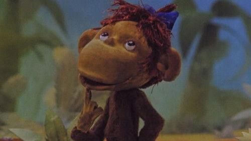 38 Parrots Season 1 Episode 6 - Best Regard To The Monkey