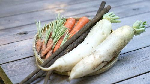 Magical Japanese Season 3 Episode 15 - Root