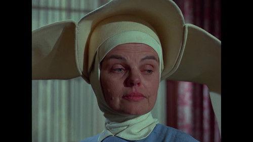 The Flying Nun Season 1 Episode 5 - The Fatal Hibiscus