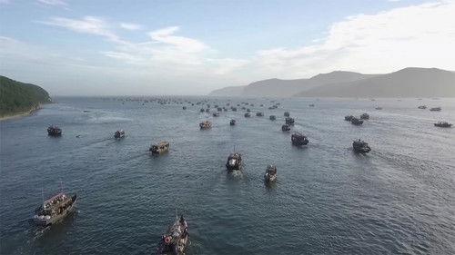 Foreign Correspondent Season 29 Episode 22 - North Korea's Secret Armada