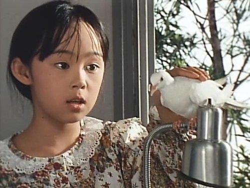 Chōjin Sentai Jetman Season 1 Episode 35 - The Fighting Courage Given by a Dove
