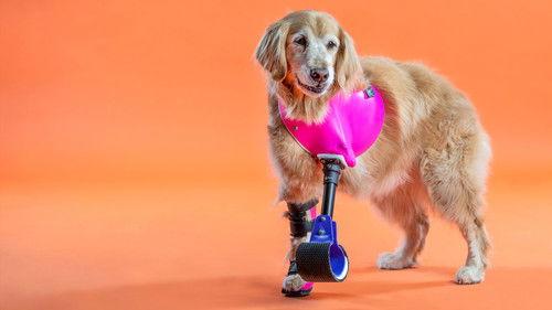 Background image for Pearl