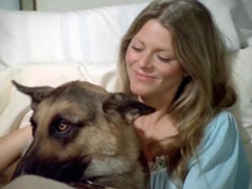 The Bionic Woman Season 3 Episode 10 - Max