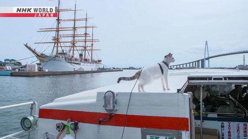 A Cat's-Eye View of Japan Season 2 Episode 12 - Toyama: Thriving Kitties