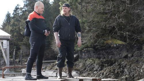 Background image for The Perfect Bear