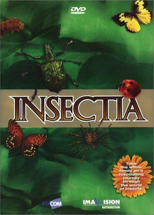 Insectia poster