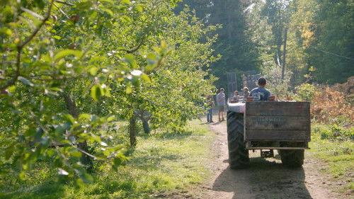 A Chef at the Shack Season 6 Episode 4 - Episode 4