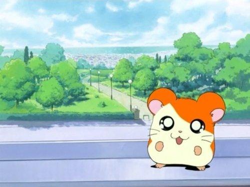 undefined Season 1 Episode 1 - Hamtaro