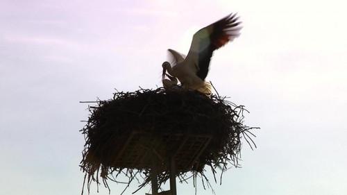 Ljubav je na selu Season 16 Episode 1 - Episode 1