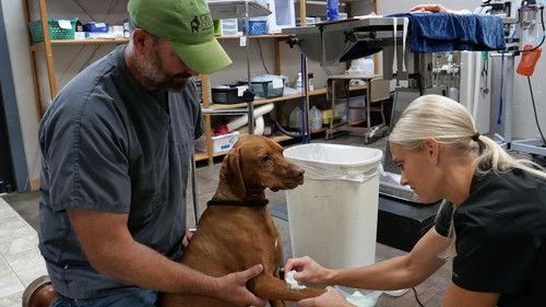 Background image for Lights, Camera, Auction!